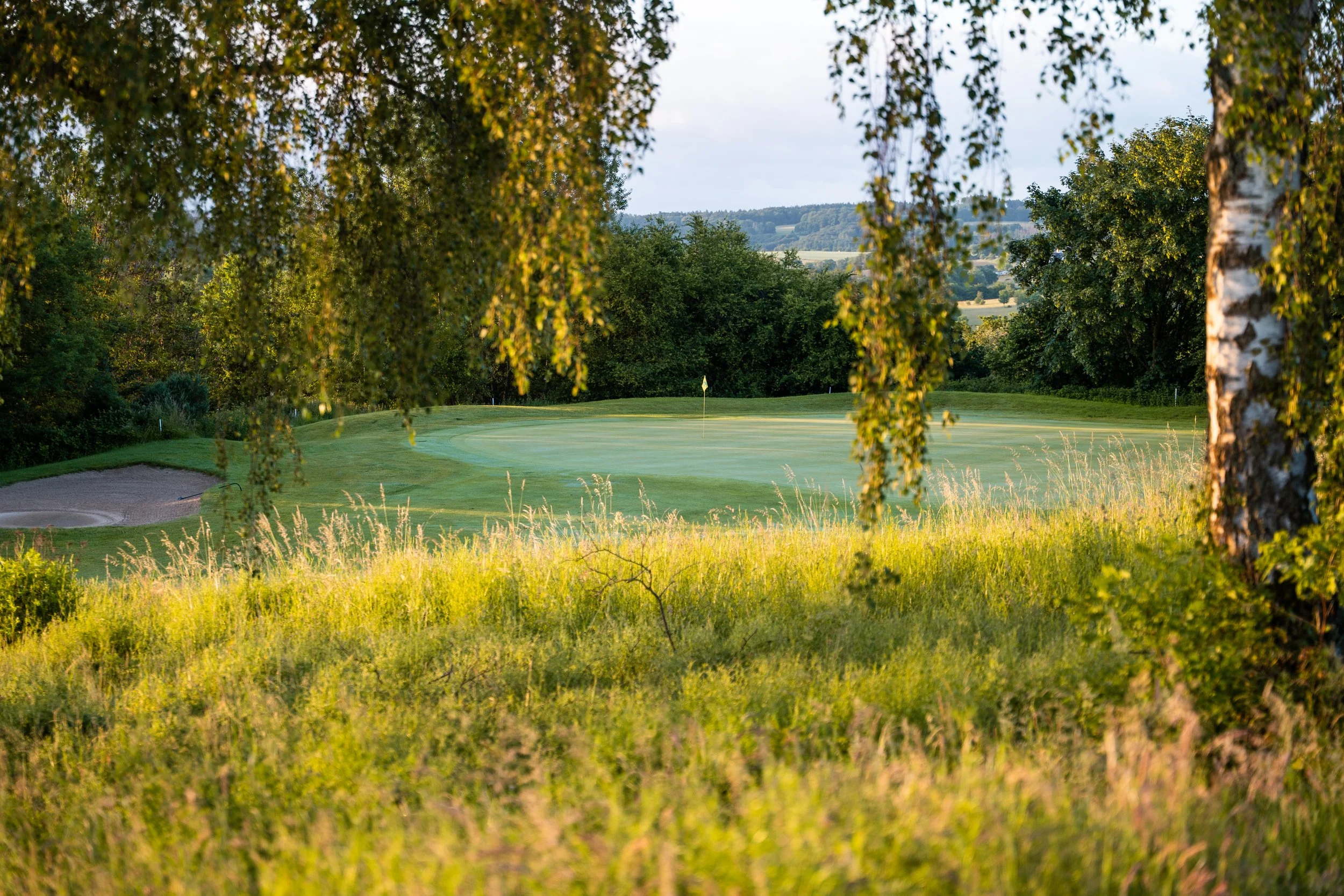 Golf Siebengebirge Juni 26-1375566.jpg
