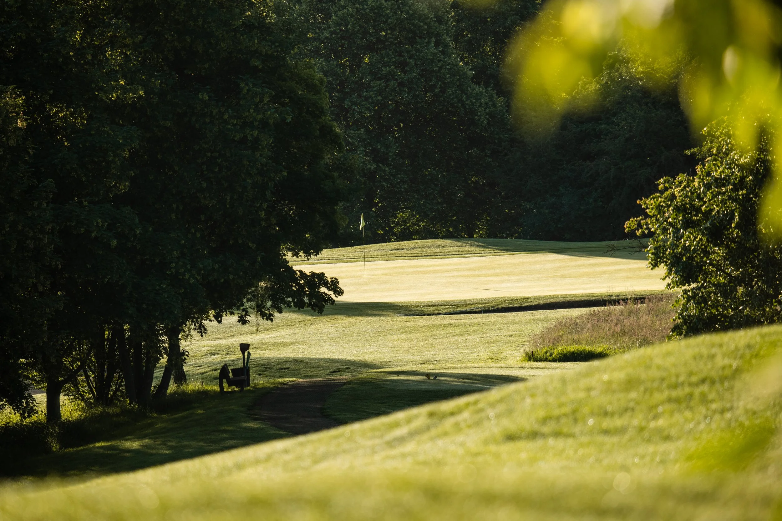 Golf Siebengebirge Juni 26-1738344.jpg