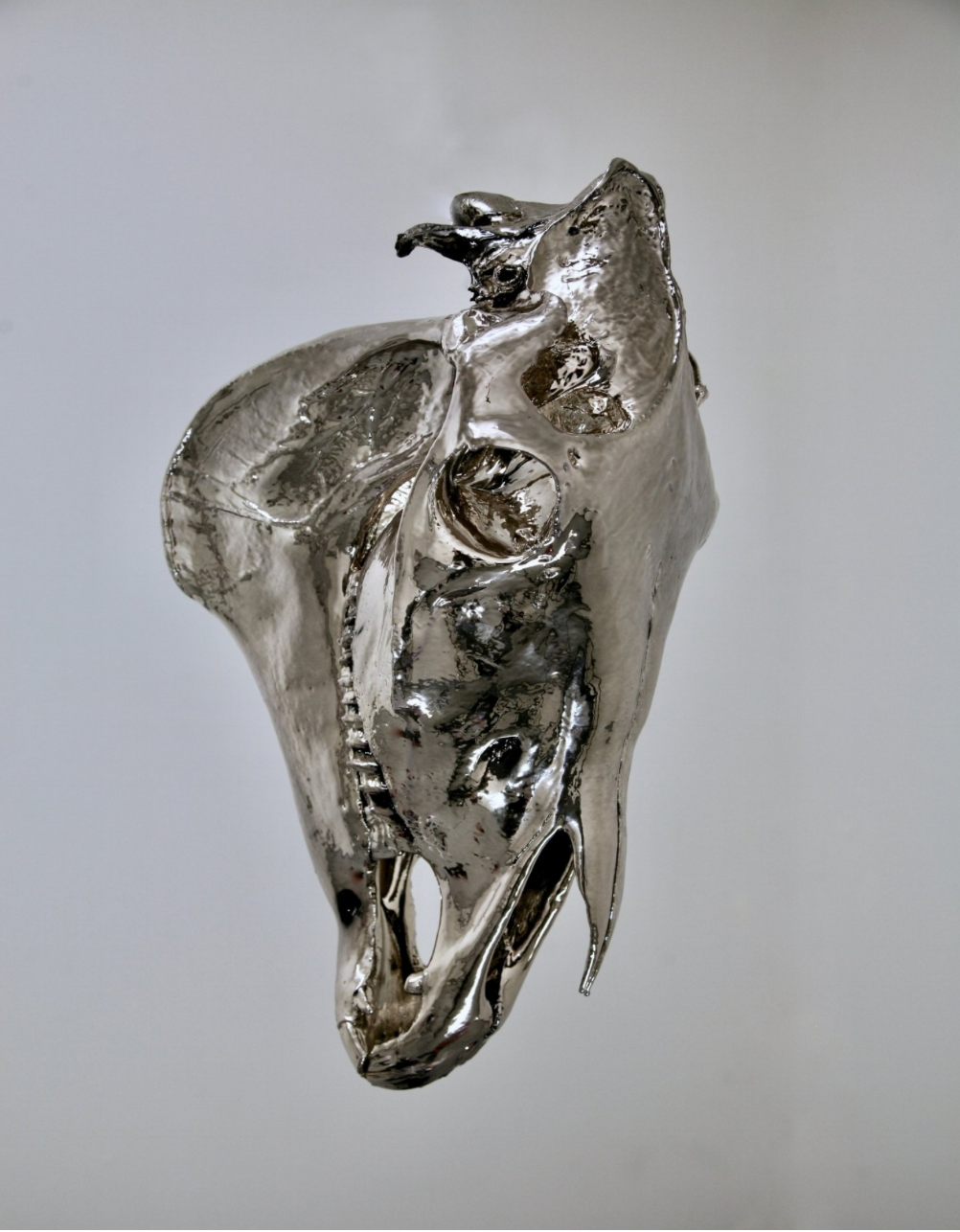 Tropaion is in the foreground and the centered work in the space — consisting of a chromed plated horse skull suspended over a sealed acrylic box contained twelve gallons of water collected by the artist from the confluence of the Mississippi & Missouri Rivers. Tropaion is an individual element of the exhibition Convergence Infinite .