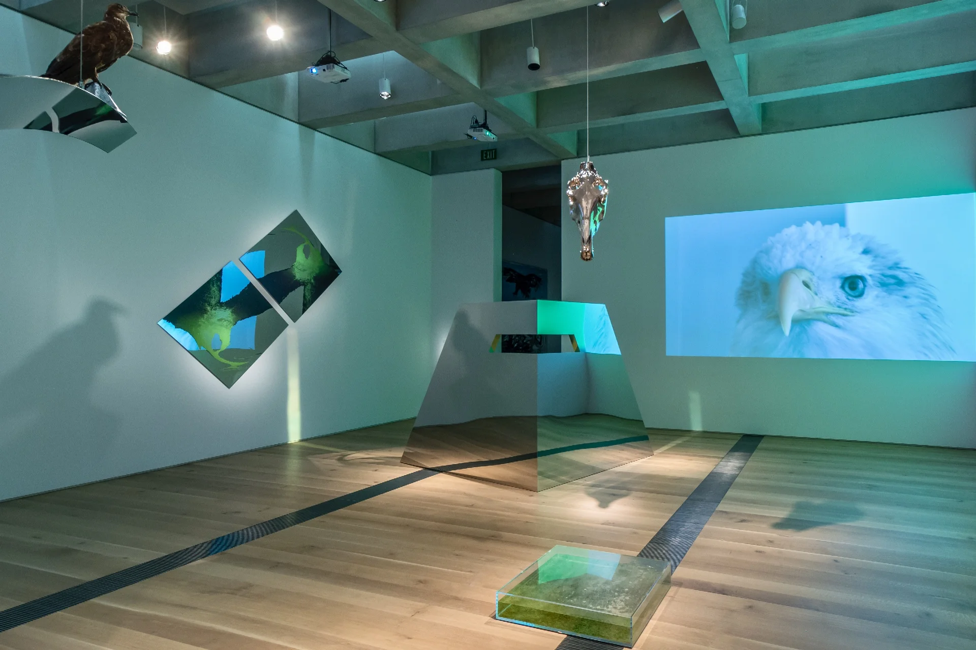 Convergence Infinité , 2016, 14’ x 40’ x 50’, mirror polished stainless steel, dichroic film, bald eagle taxidermy mount, chrome plated horse skull, acrylic box containing Mississippi and Missouri River waters, mirrored glass, archival inkjet prints on mirror polished stainless steel, and four channel HD drone footage video projection. The sculpture Apogee 1200 (foreground) is an abstracted form based on a Cahokian mound. The mirrored steel edges are coated with a dichroic film which refracts light on the edges of the sculpture. The sculpture reflects within itself, giving the illusion that one is viewing the front and the back of the work simultaneously. Converger , the four channel the video was filmed by drone and interlaced with footage the artist shot by helicopter. River Portrait I & II , 67" x 67", archival inkjet prints on mirror polished stainless steel.