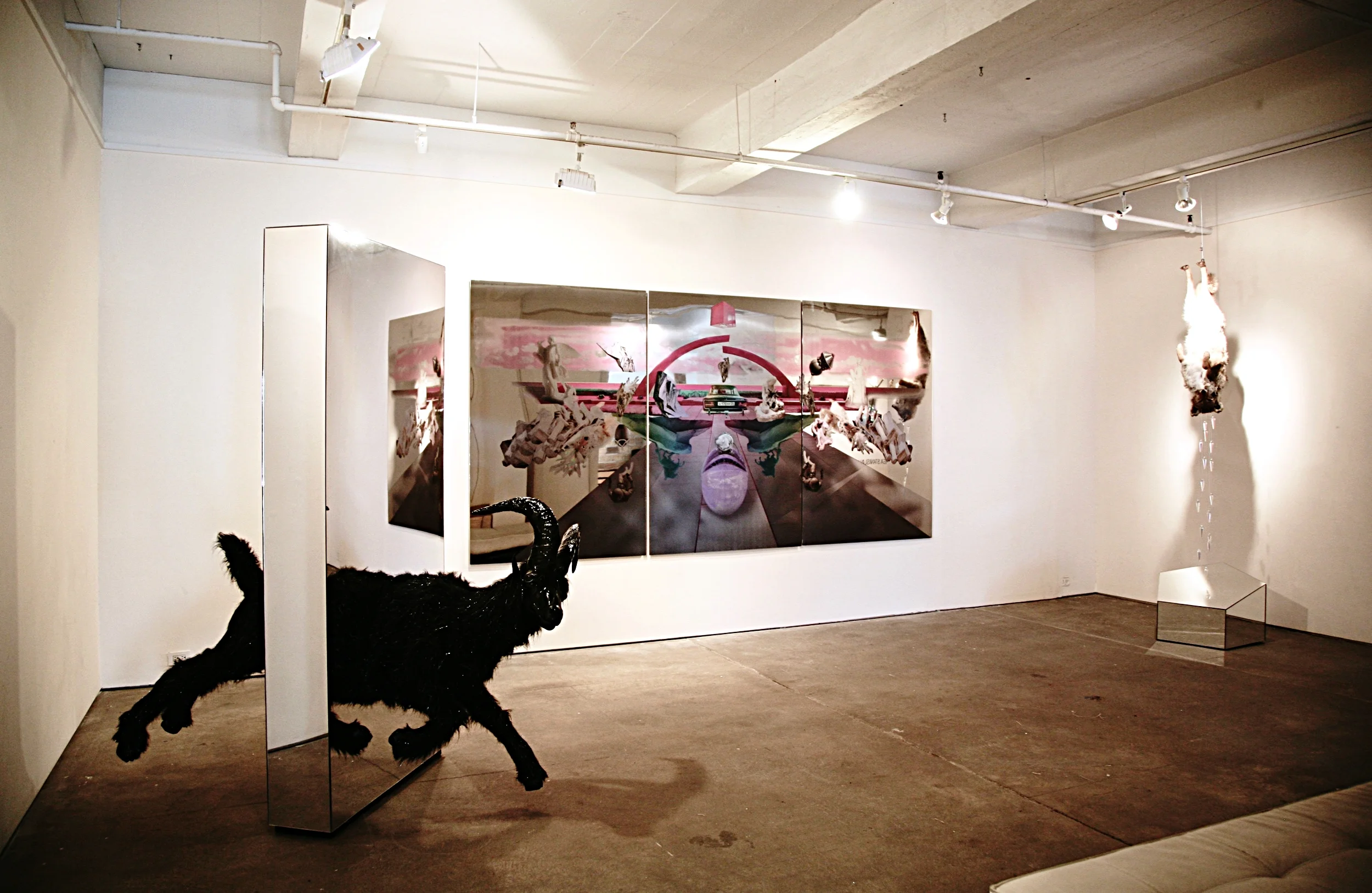 Preternatural Shapeshifter , 2016, Ca'D'Oro Gallery, NYC, NY (gallery view)
