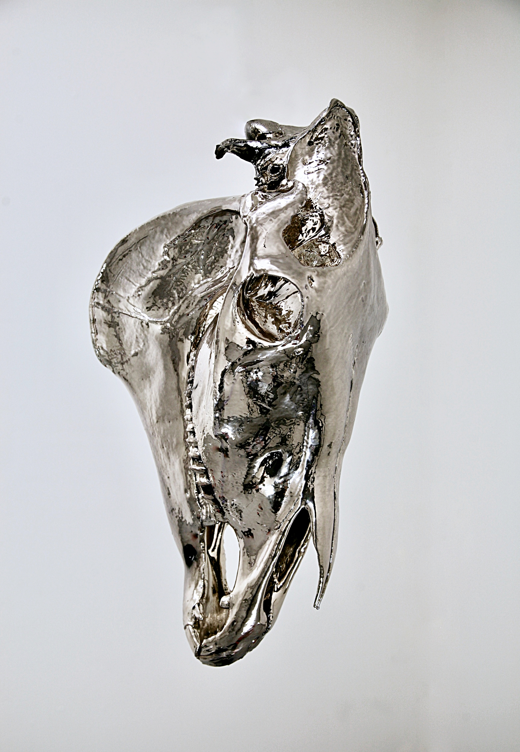 Tropaion , 2016, 14’ x 3’ x 3’, consisting of a chromed plated horse skull suspended over a sealed acrylic box contained twelve gallons of water collected by the artist from the confluence of the Mississippi and Missouri Rivers (detail of chrome skull).