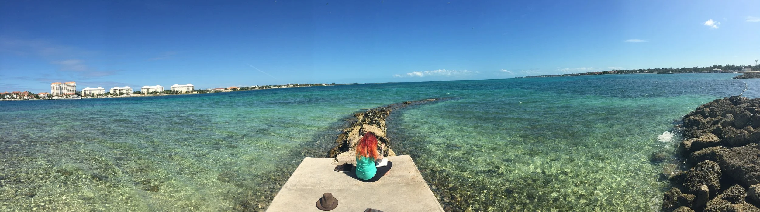 Montagu Point