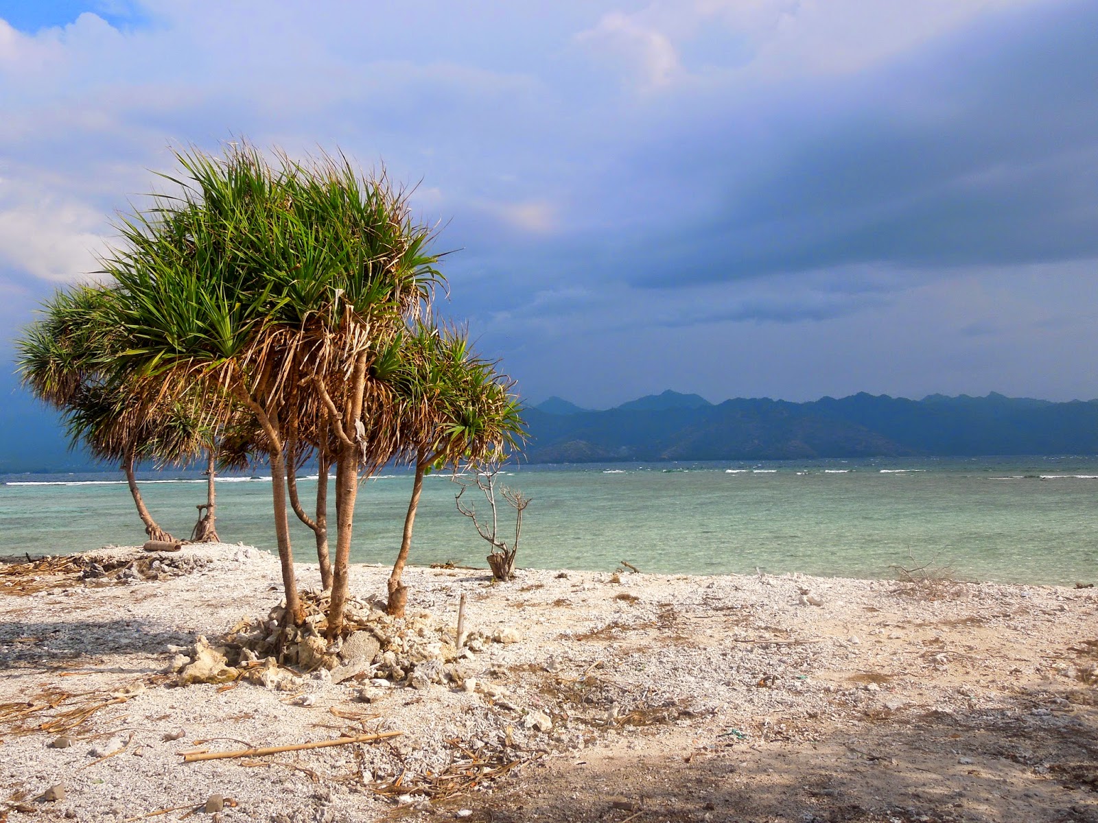 The Gleeful Gilis (Gili Trawangan, Indonesia)