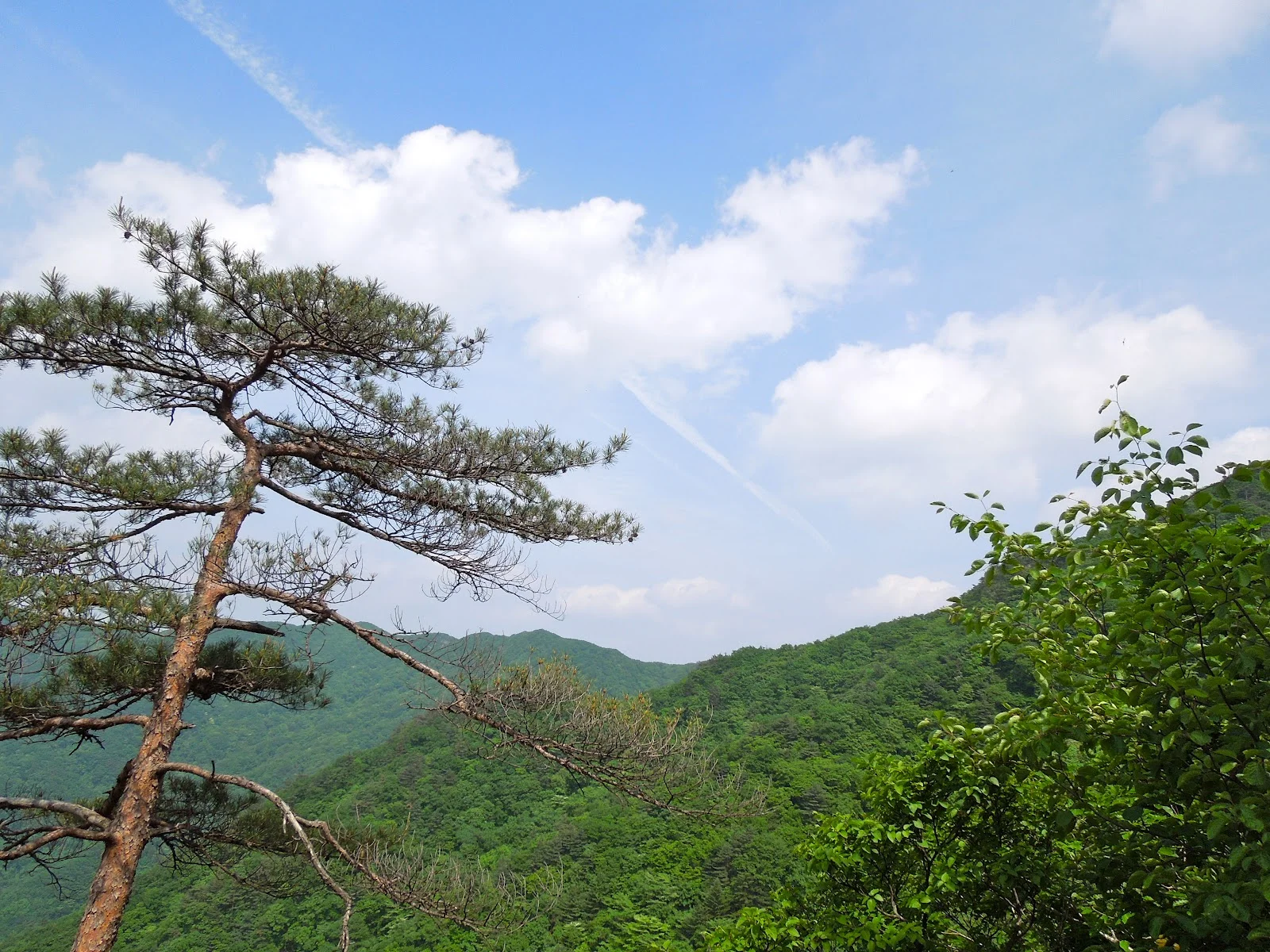 Hiking in Korea: Going to the Greenery