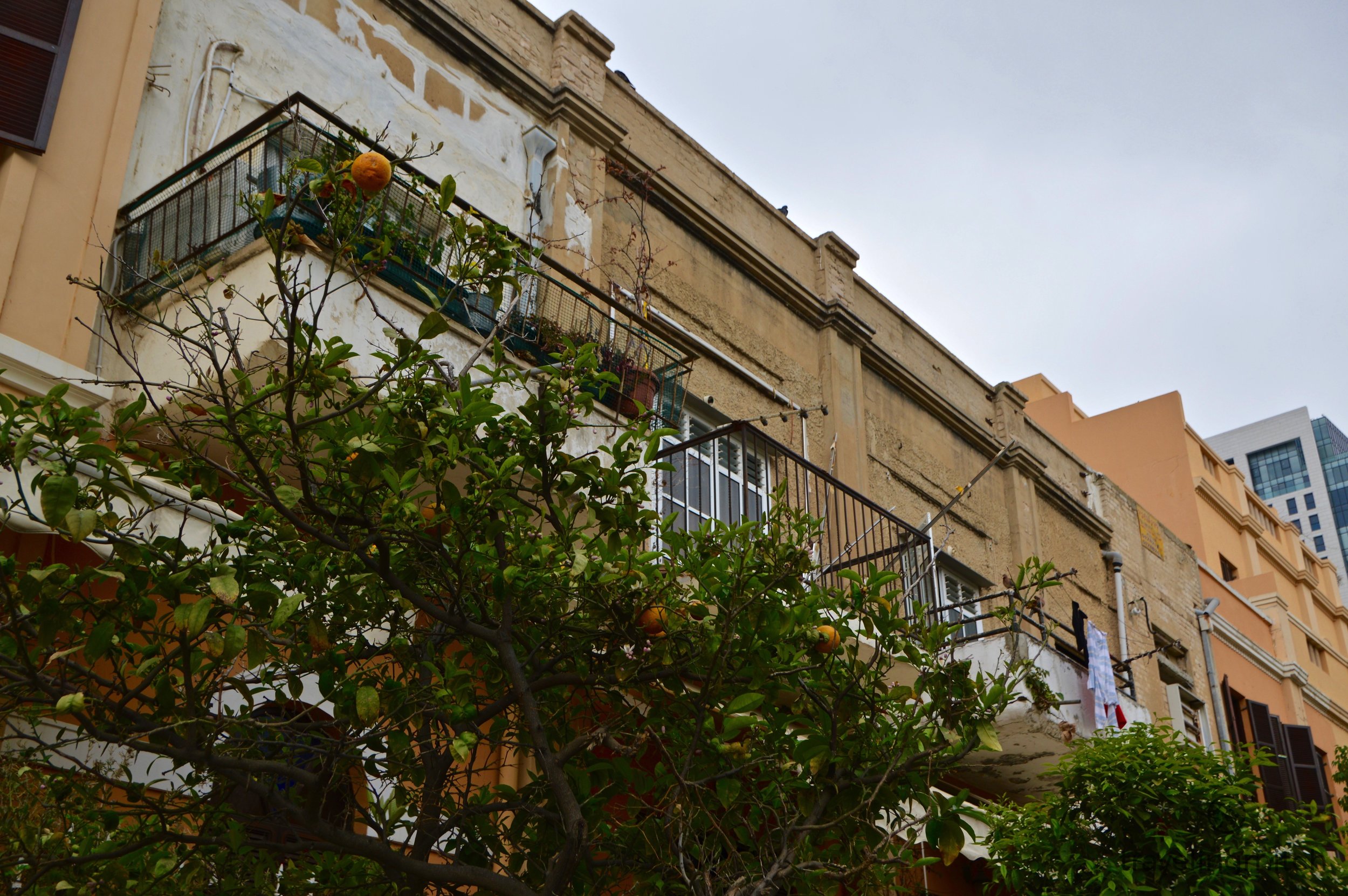 Newe Zedek - Tel Aviv, Israel