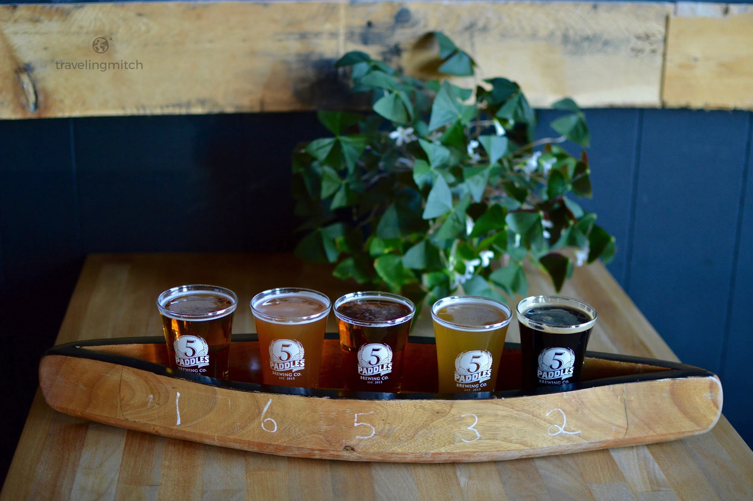 At the 5 Paddles Brewing Co. in Whitby, Ontario. From left tor right - Home Sweet Home, Strawberry Wheat, Italian Backyard, Skull Pucker, and Valley of Darkness