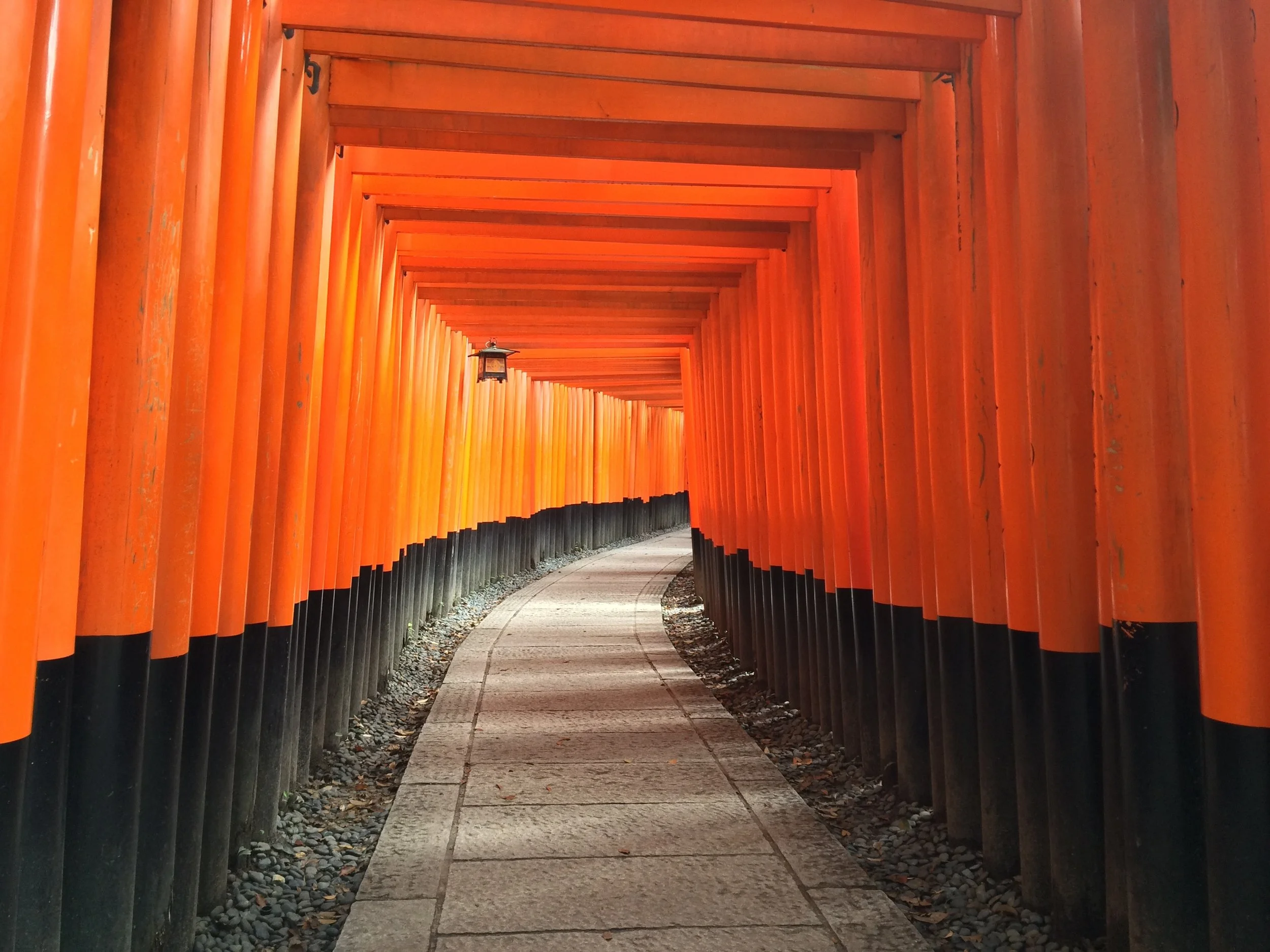 Travel Tip #5: Embrace the Culture