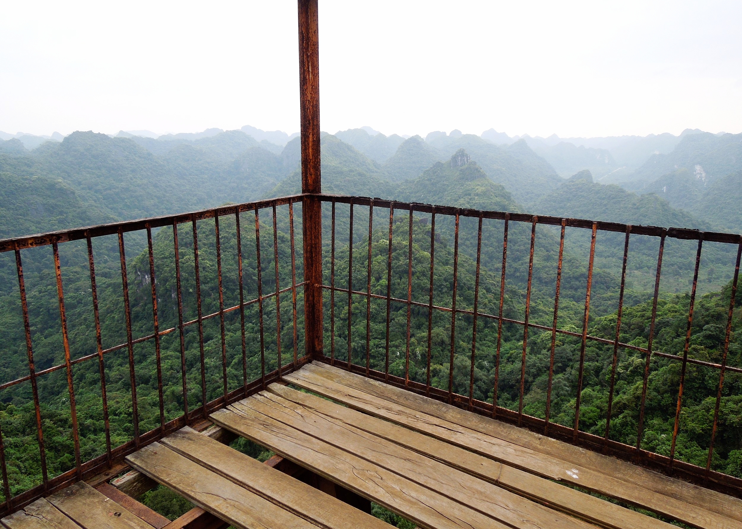 3 Weeks in Vietnam - Cat Ba Island and Cat Ba National Park