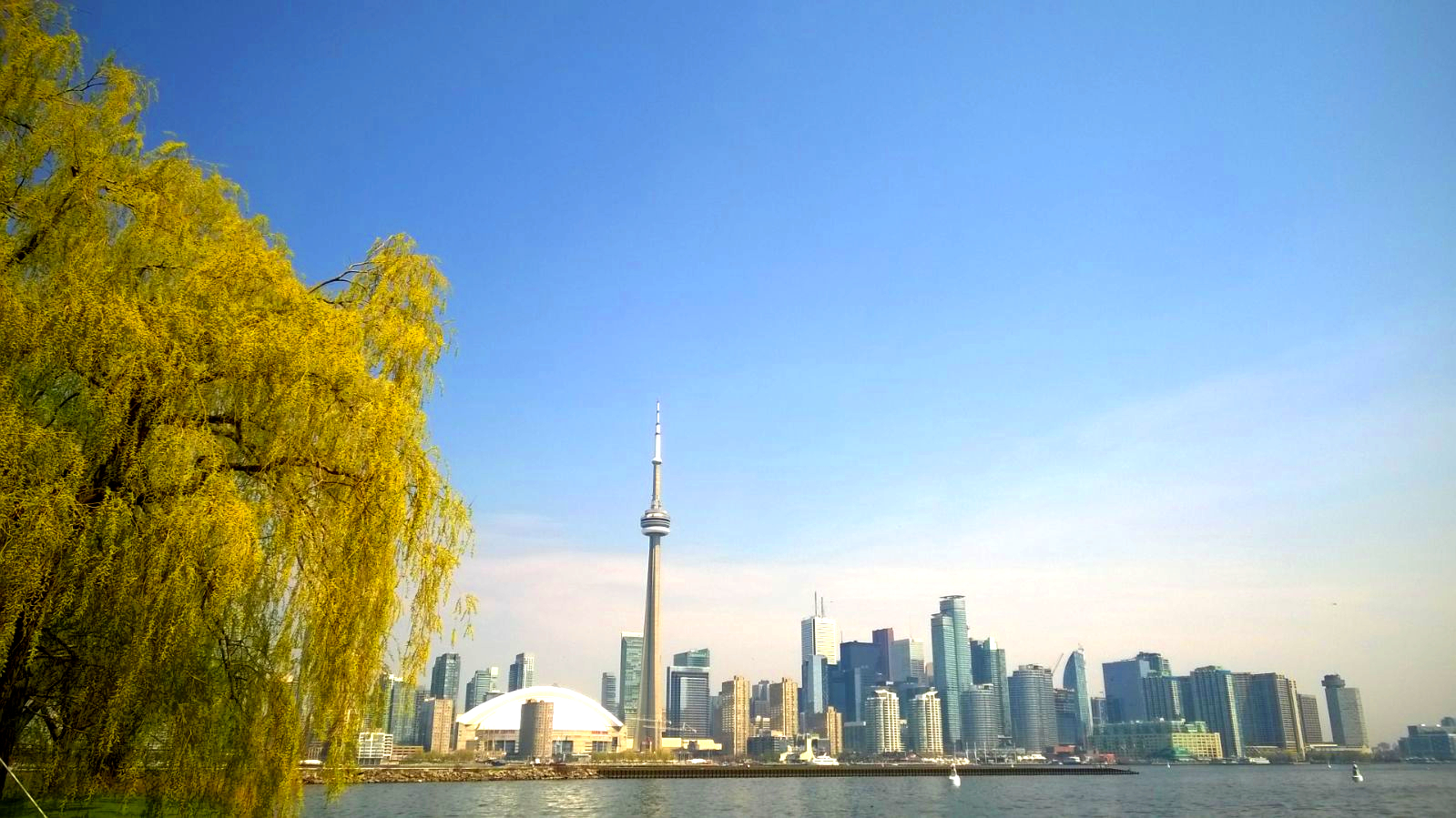 36 Hours in Toronto - Toronto Islands