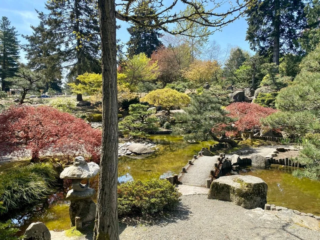 The Highline SeaTac Botanical Garden: Seattle's Most Treasured Plants, Just Minutes from the Airport!