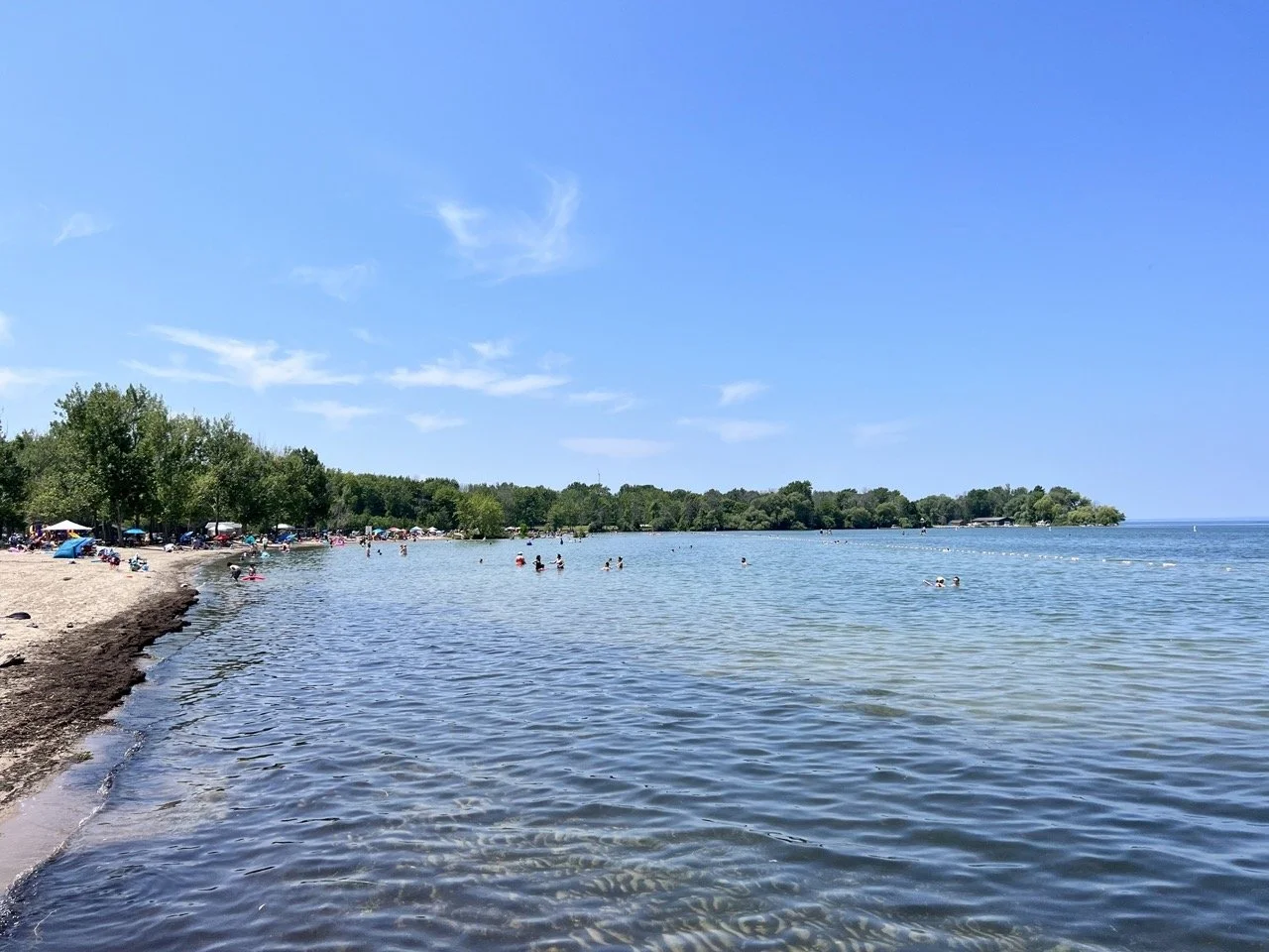 Visiting Sibbald Point Provincial Park: How to Experience the Best of Lake Simcoe Beaches