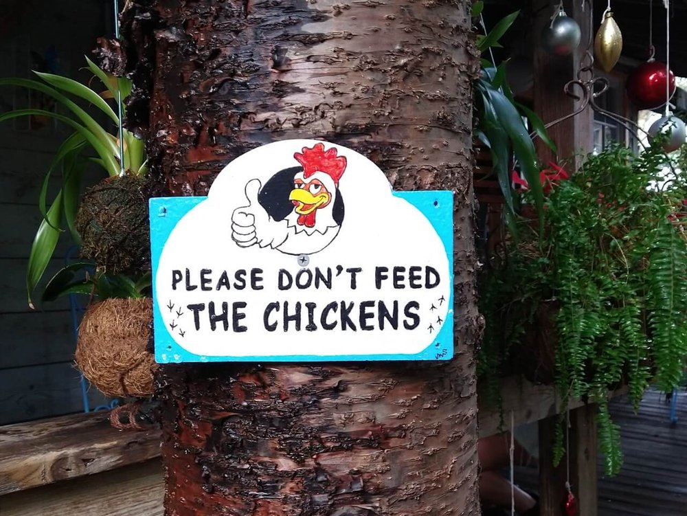 5870-Chicken-sign Large.jpeg
