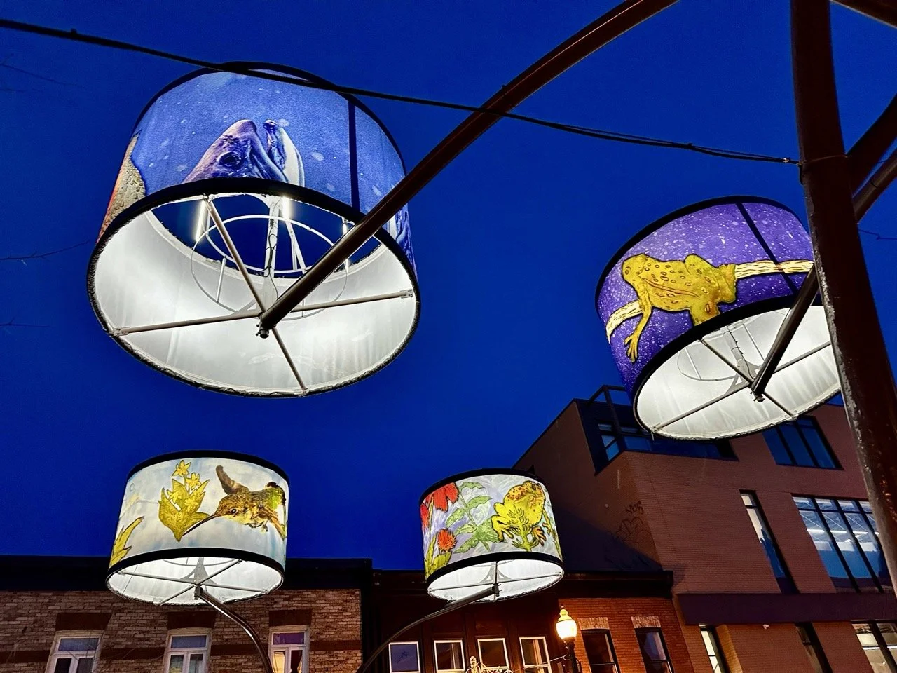 The Lampshades of Cartier Avenue: A Stronghold for Artistic Expression in Québec City