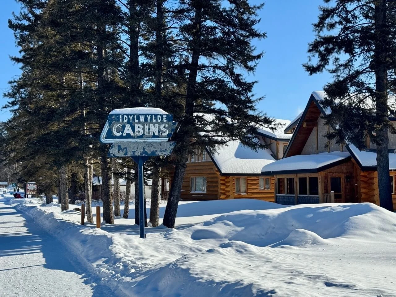 Top Things to Do in Riding Mountain National Park in Winter: A Nature and Adventure-Filled Getaway in Manitoba