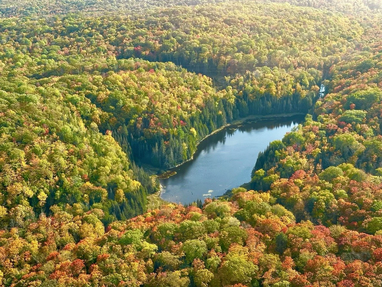 north-bay-fall-colours-1.jpeg