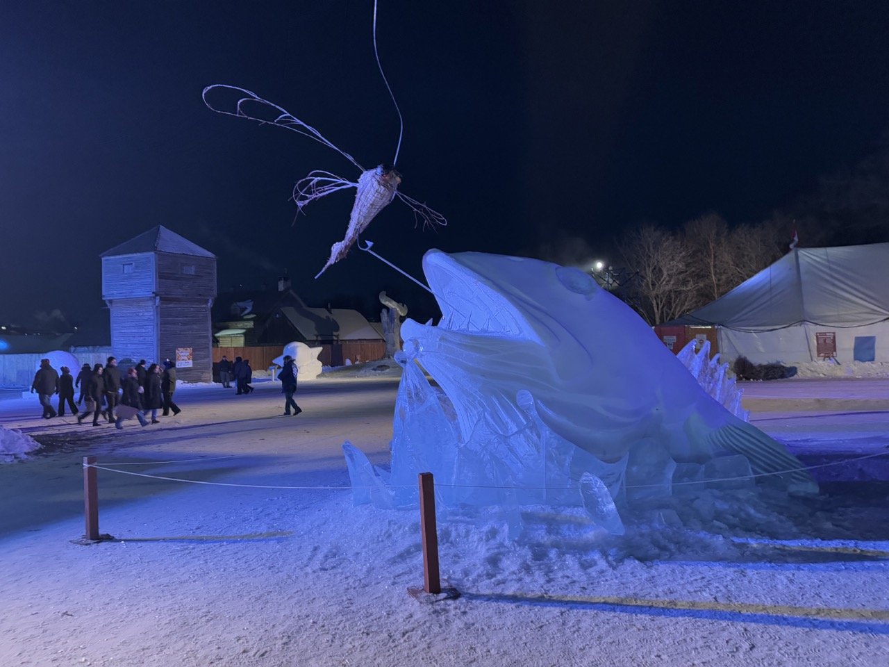 Snow sculptures by night