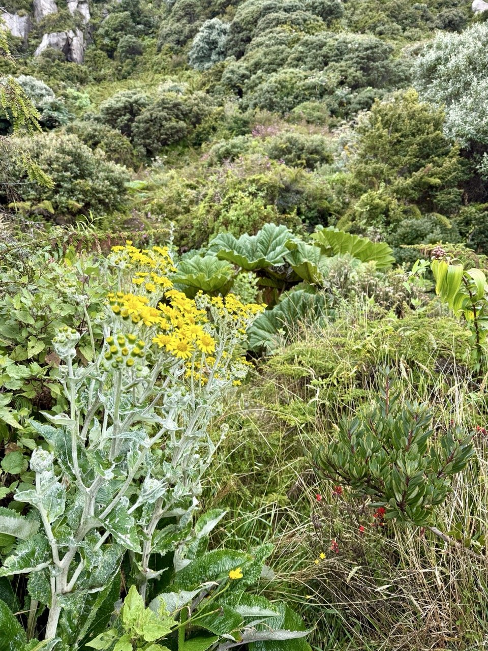 irazu-volcano-cr_1616 3 Large.jpeg