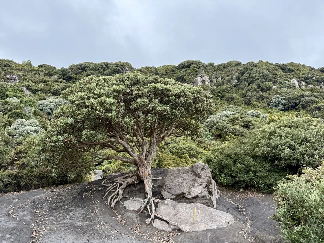 irazu-volcano-cr_1633 3 Large.jpeg