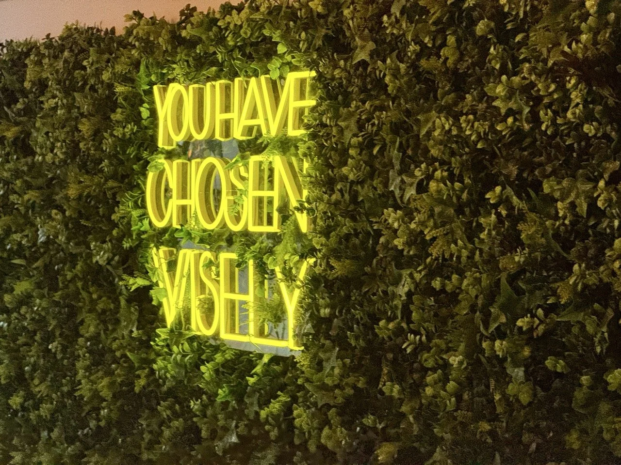 walkerville-restaurants_9376 2 Large.jpeg