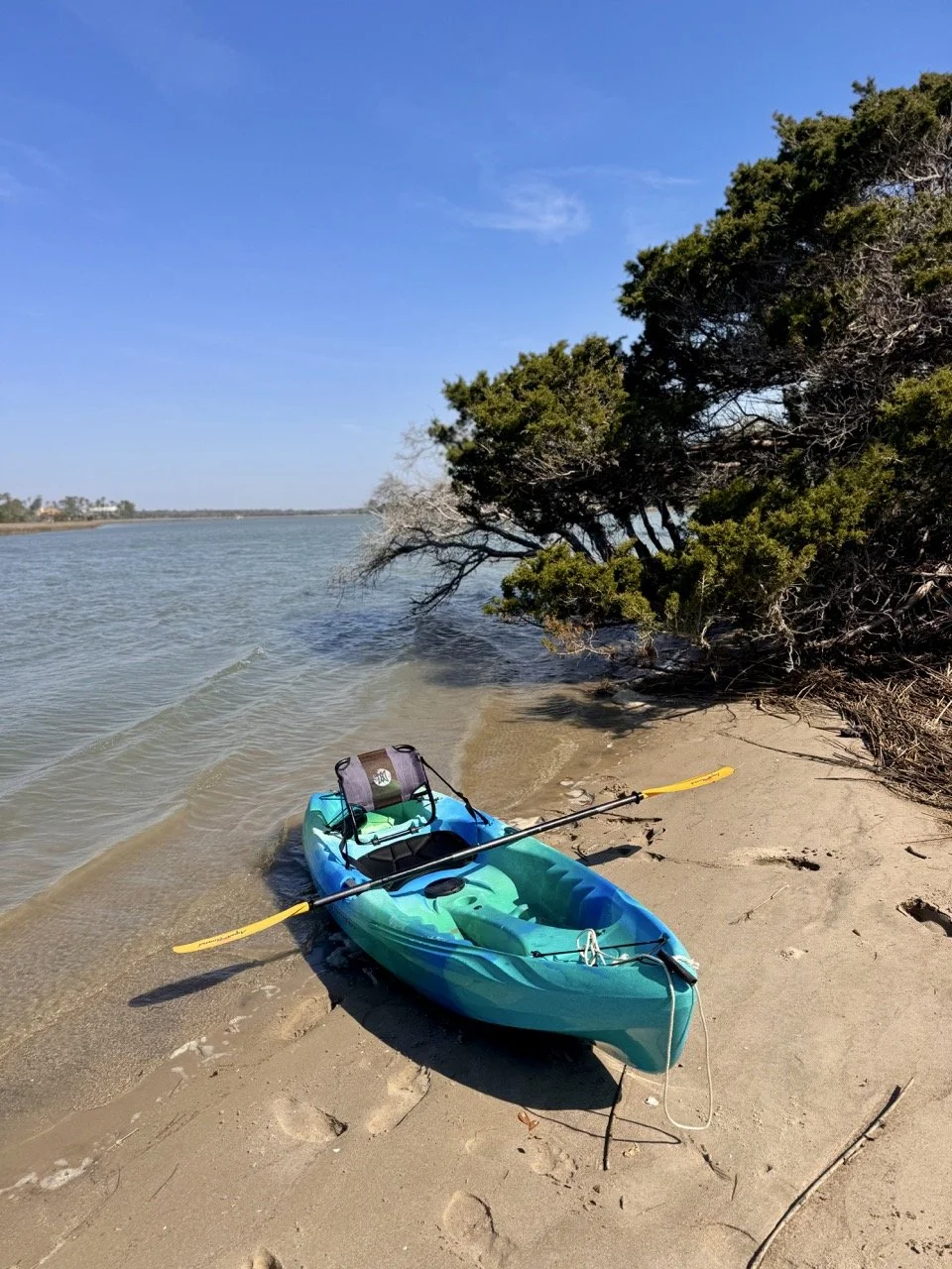charleston_things_to_do_kiawah_island_salt_marsh_kayaking_tour.jpeg