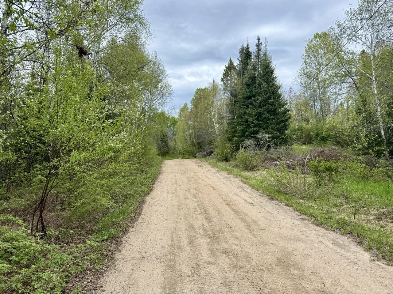 gravel-cycling-north-bay-ontario.jpeg