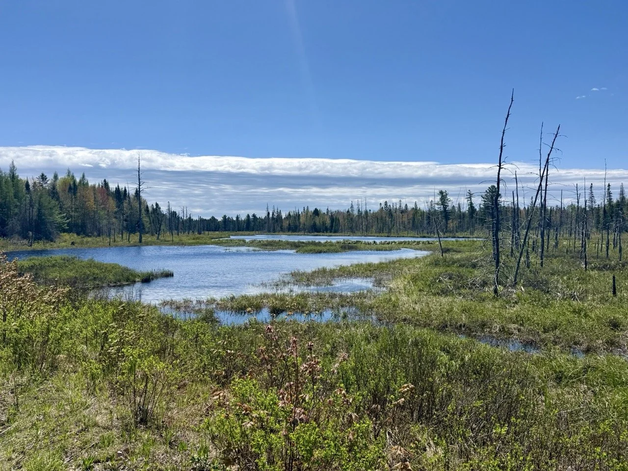 north-bay-ontario-scenery.jpeg