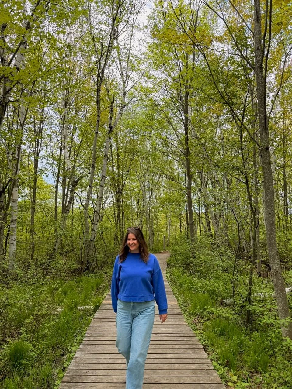Laurier Woods Conservation Area