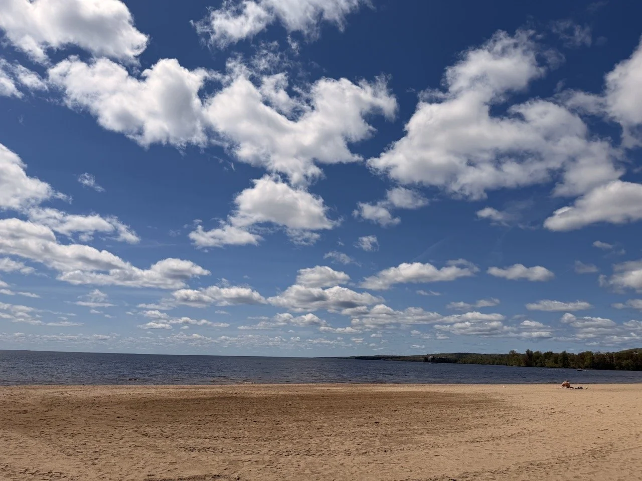 Shabogesic Beach