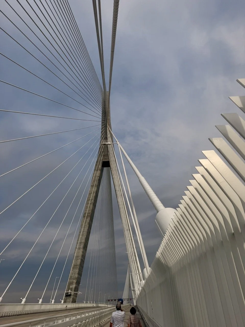 windsor_essex_cycling_Gordie_Howe_International_Bridge.jpeg