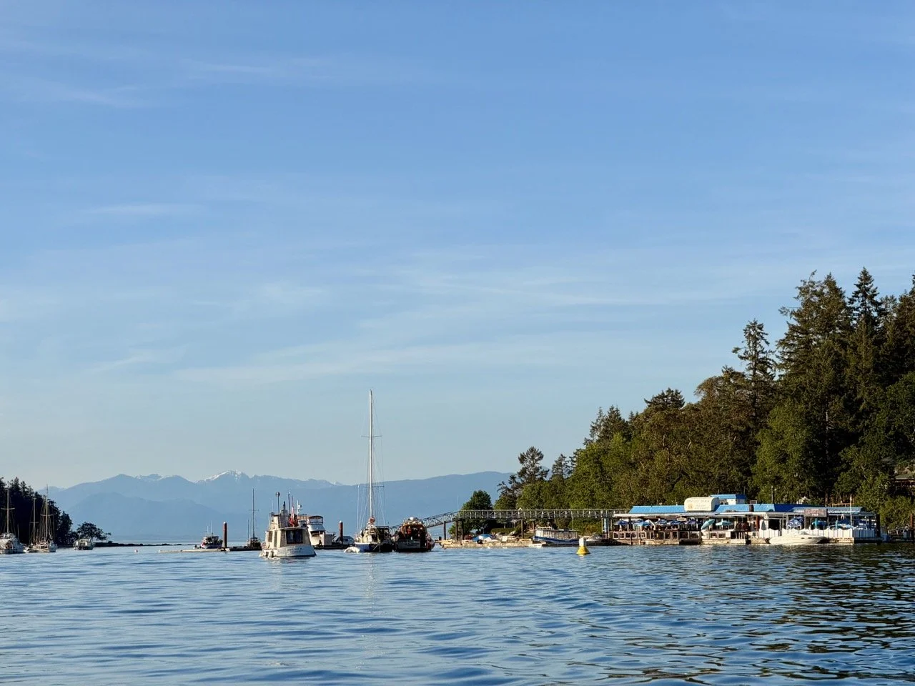 things to do in nanaimo protection island ferry