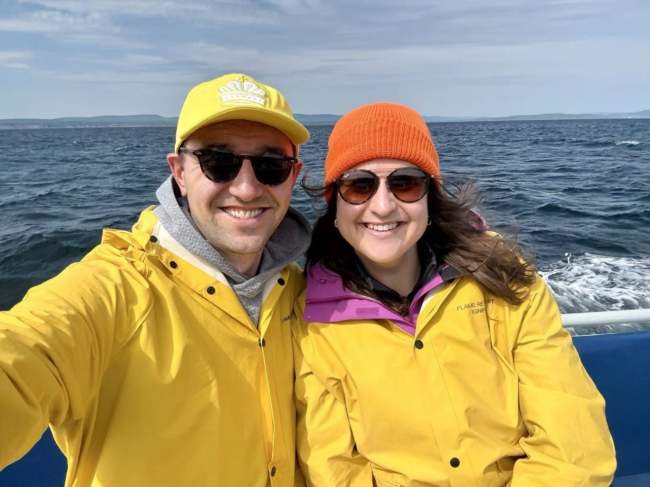 Whale watching in Le Quebec Maritime