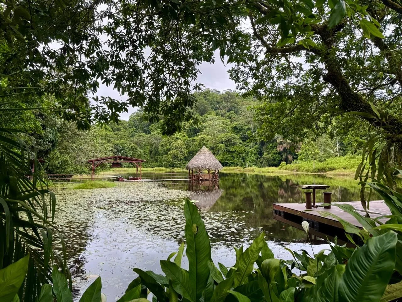 rainforest resorts in costa rica