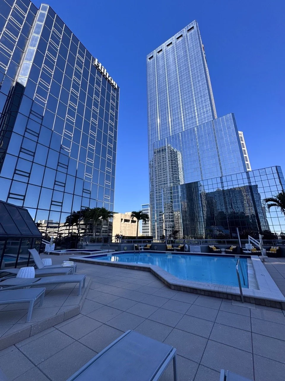 best place to stay Tampa Hilton downtown