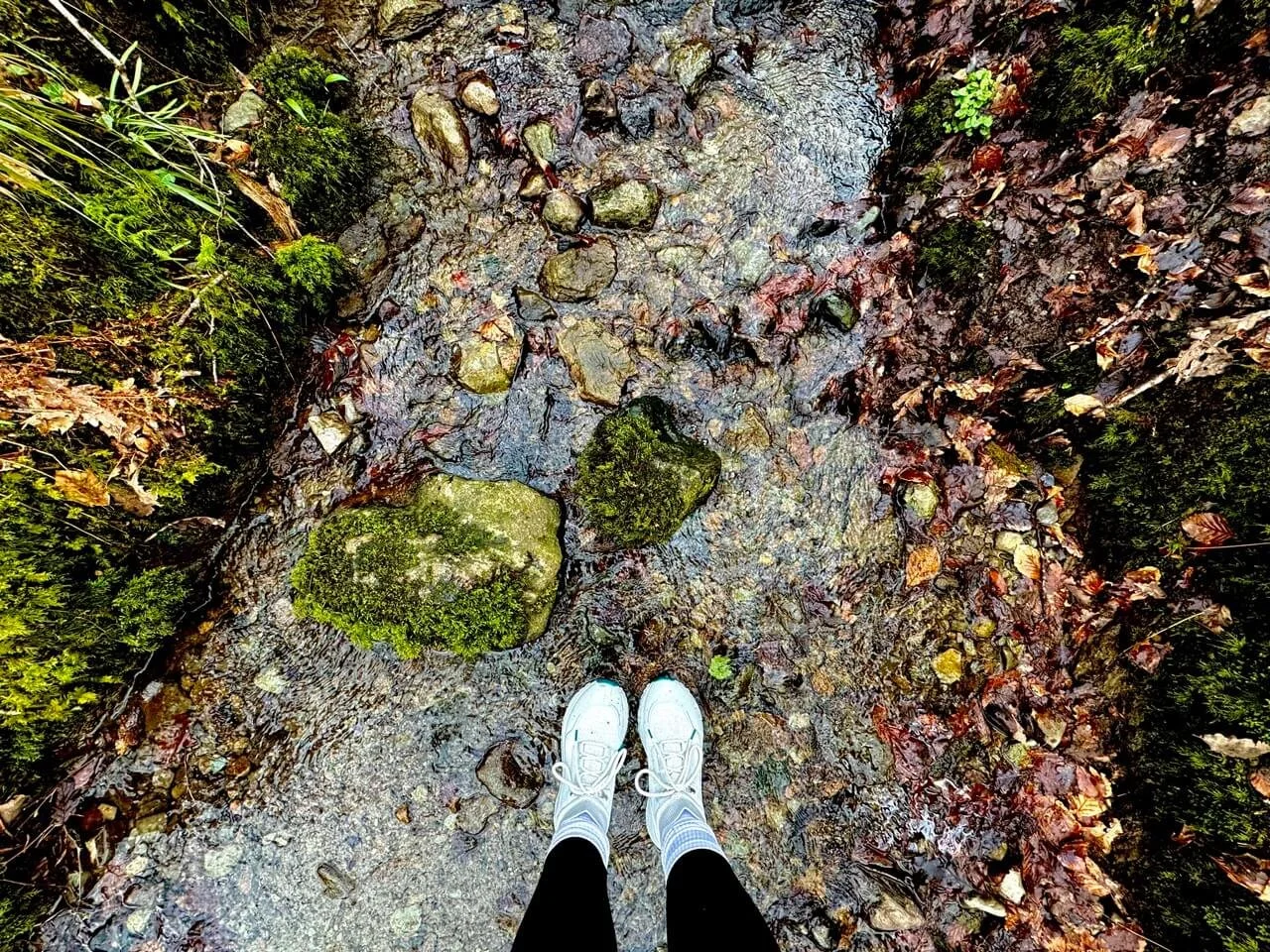 The Waterproof Shoes Women and Men Need for Travel: Testing Out Vessi’s Footwear, Gear and Apparel