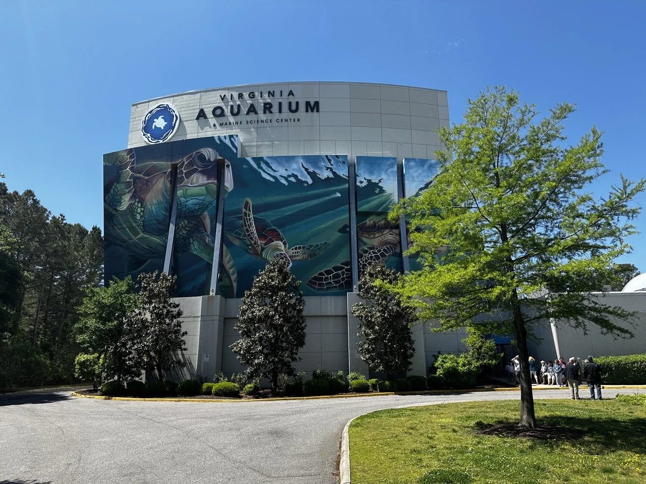 the-top-things-to-do-in-virginia-beach-a-virginia-beach-itinerary-that