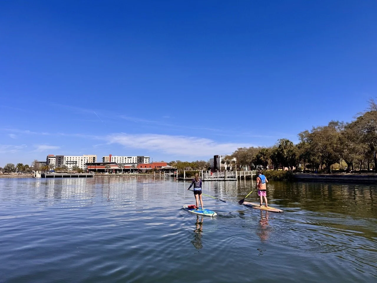 stand up paddle boarding Tampa