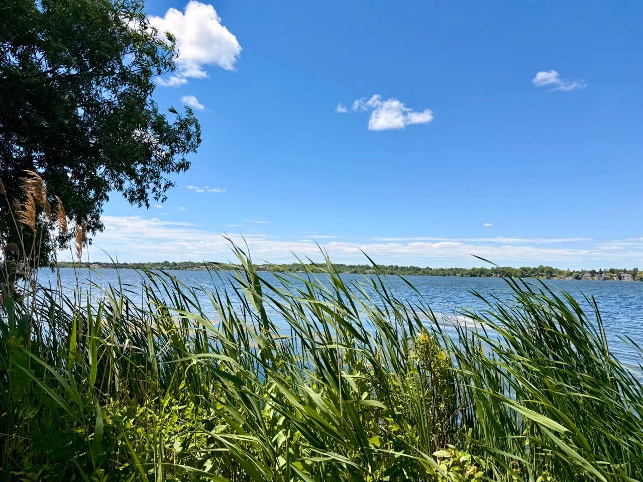 Taking a Scugog Island Getaway: A Quaint Island on Lake Scugog in Durham Region
