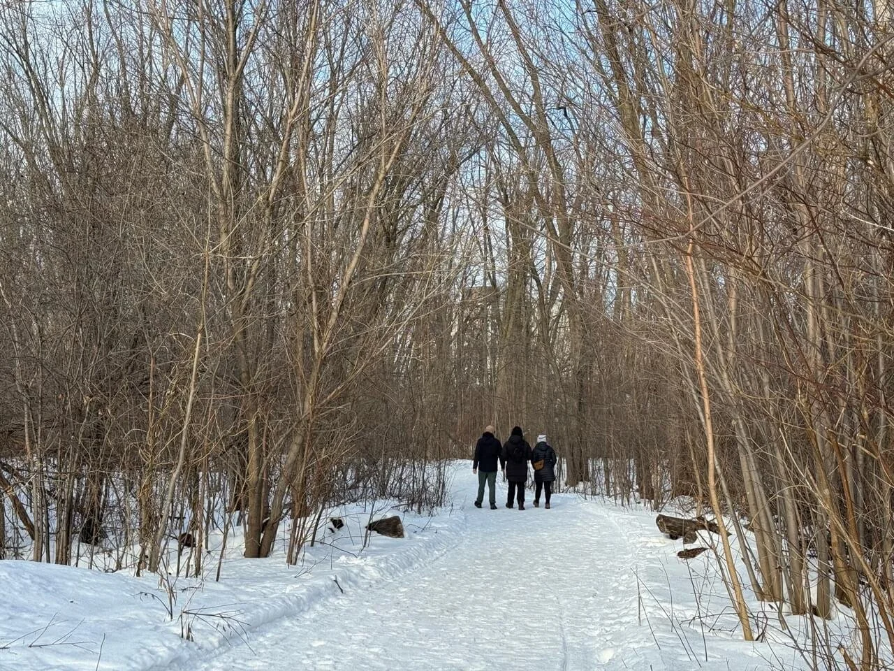 Parc-de-la-Rivière-des-Mille-Îles-laval