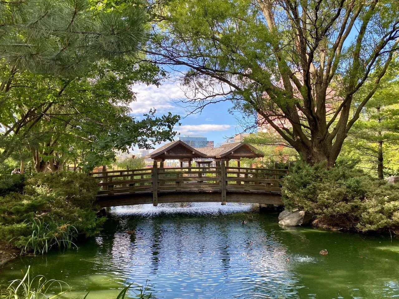 Kariya Park, Mississauga