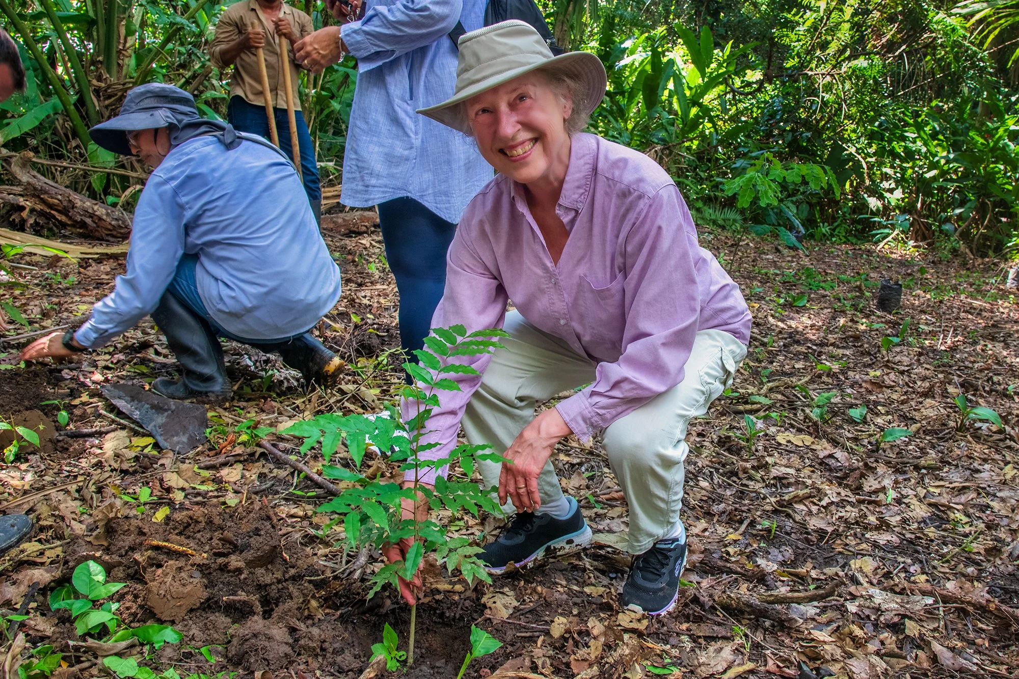 tree planting mompox