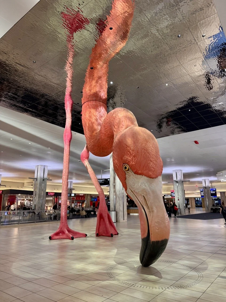 Tampa international airport