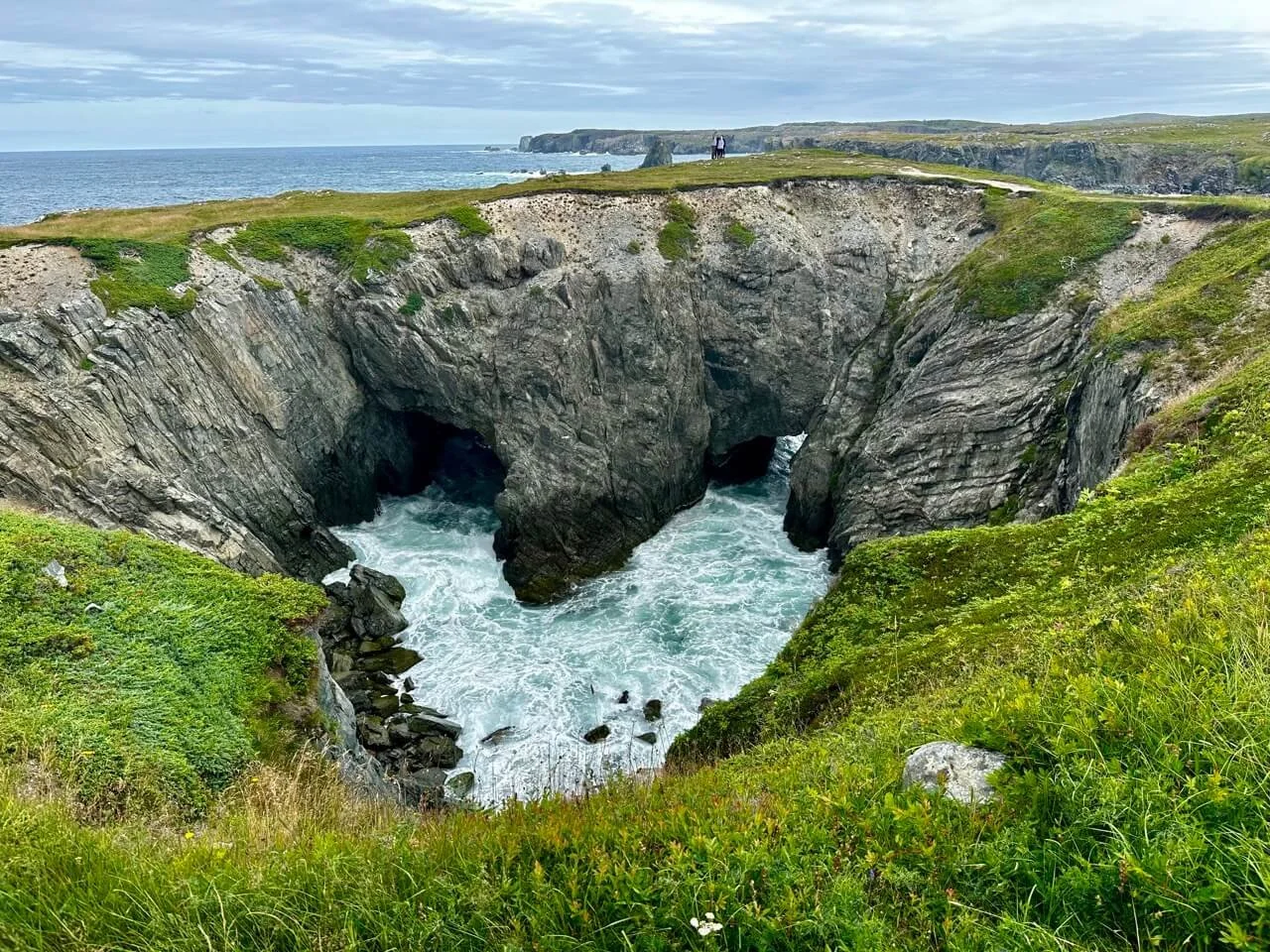 What I Learned Spending One Memorable Month in Newfoundland & Labrador