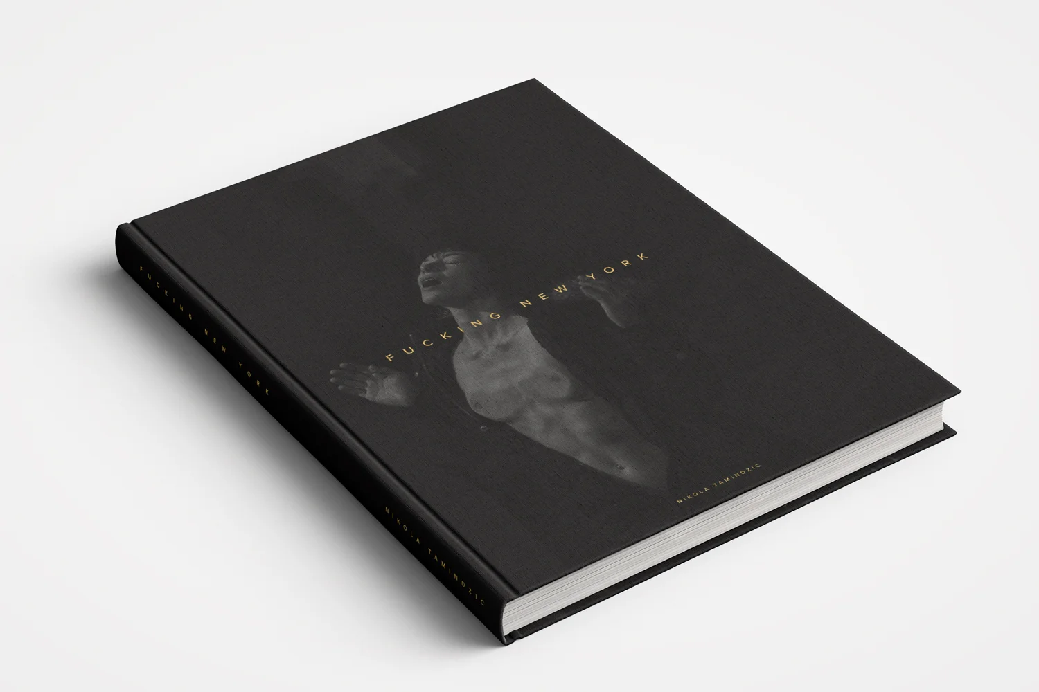 Stoya cover