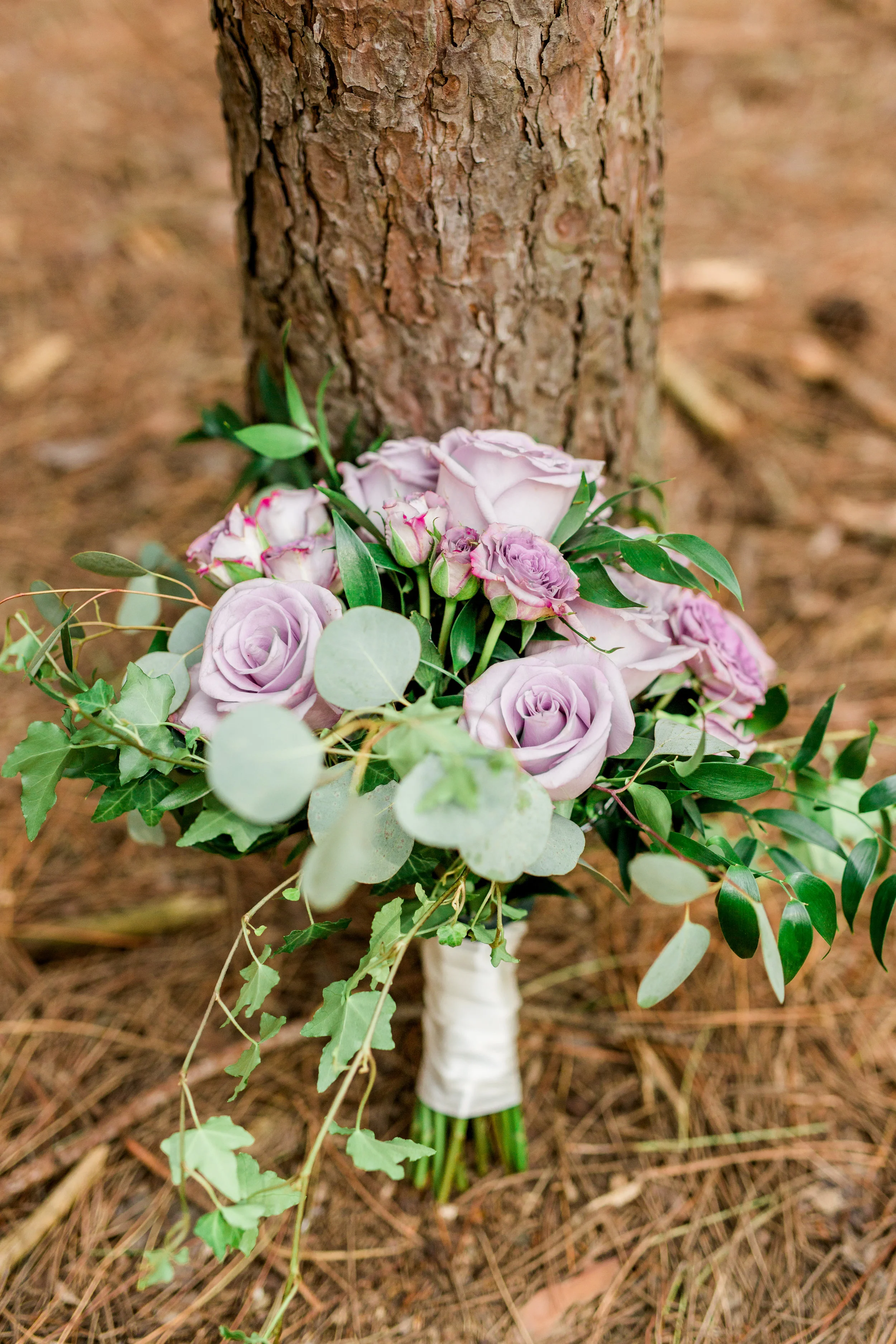 Danielle-Giroux-Amir-Golbazi-Toronto-Wedding-Photographer-Bellvue-Manor_DeLuca_1-805.jpg