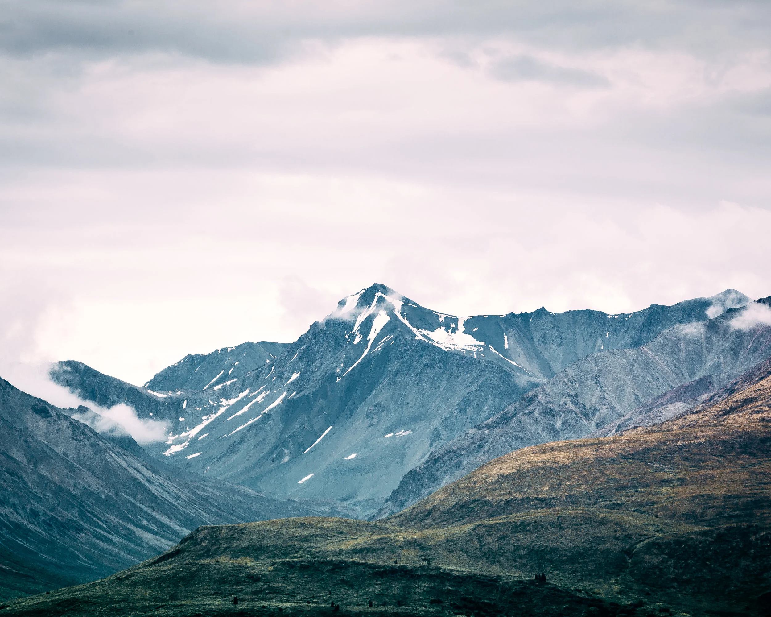 Amir-Golbazi-Photography-Alaska-Denali-National-Park_23.jpg