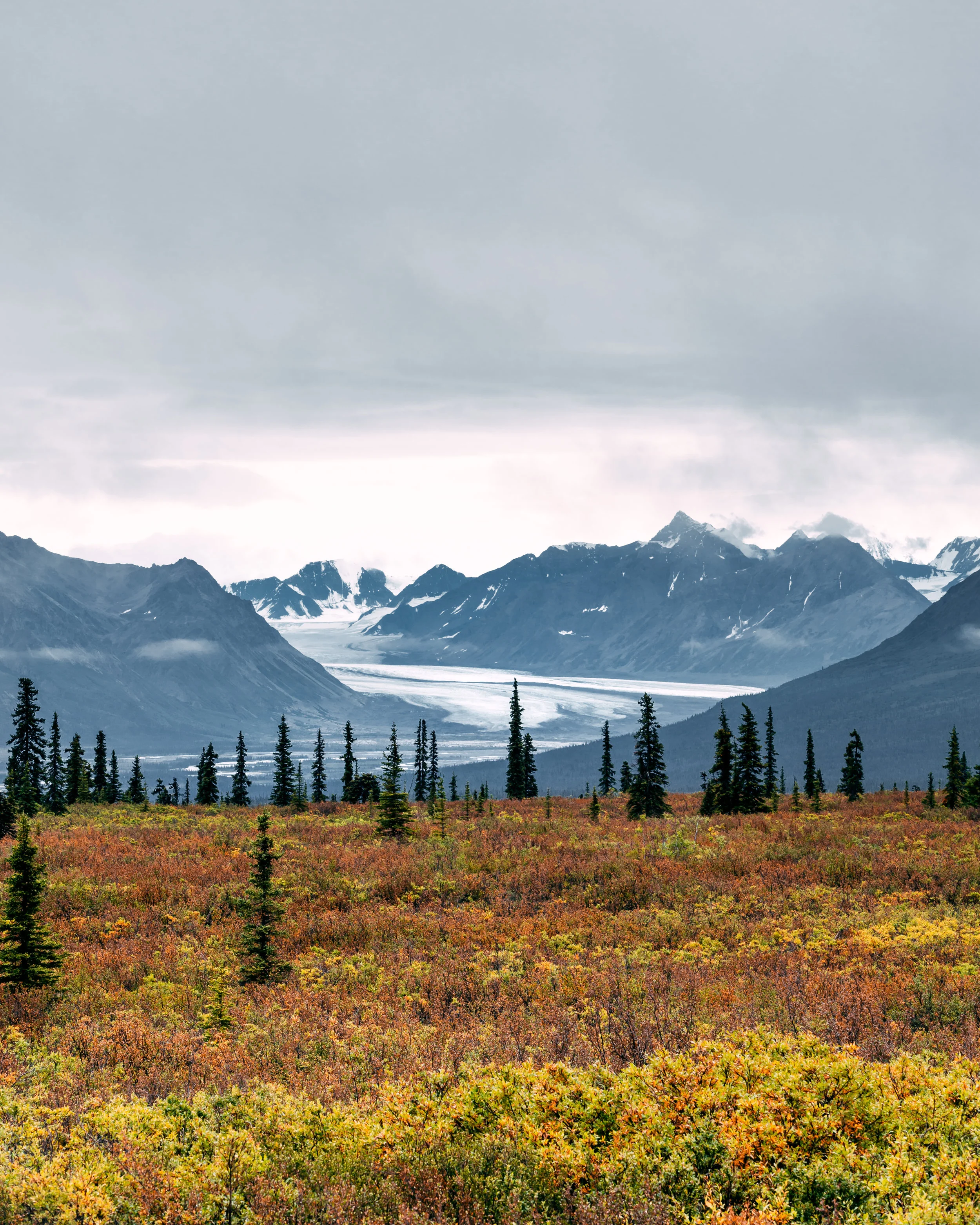 Amir-Golbazi-Photography-Alaska-Denali-National-Park_11.jpg