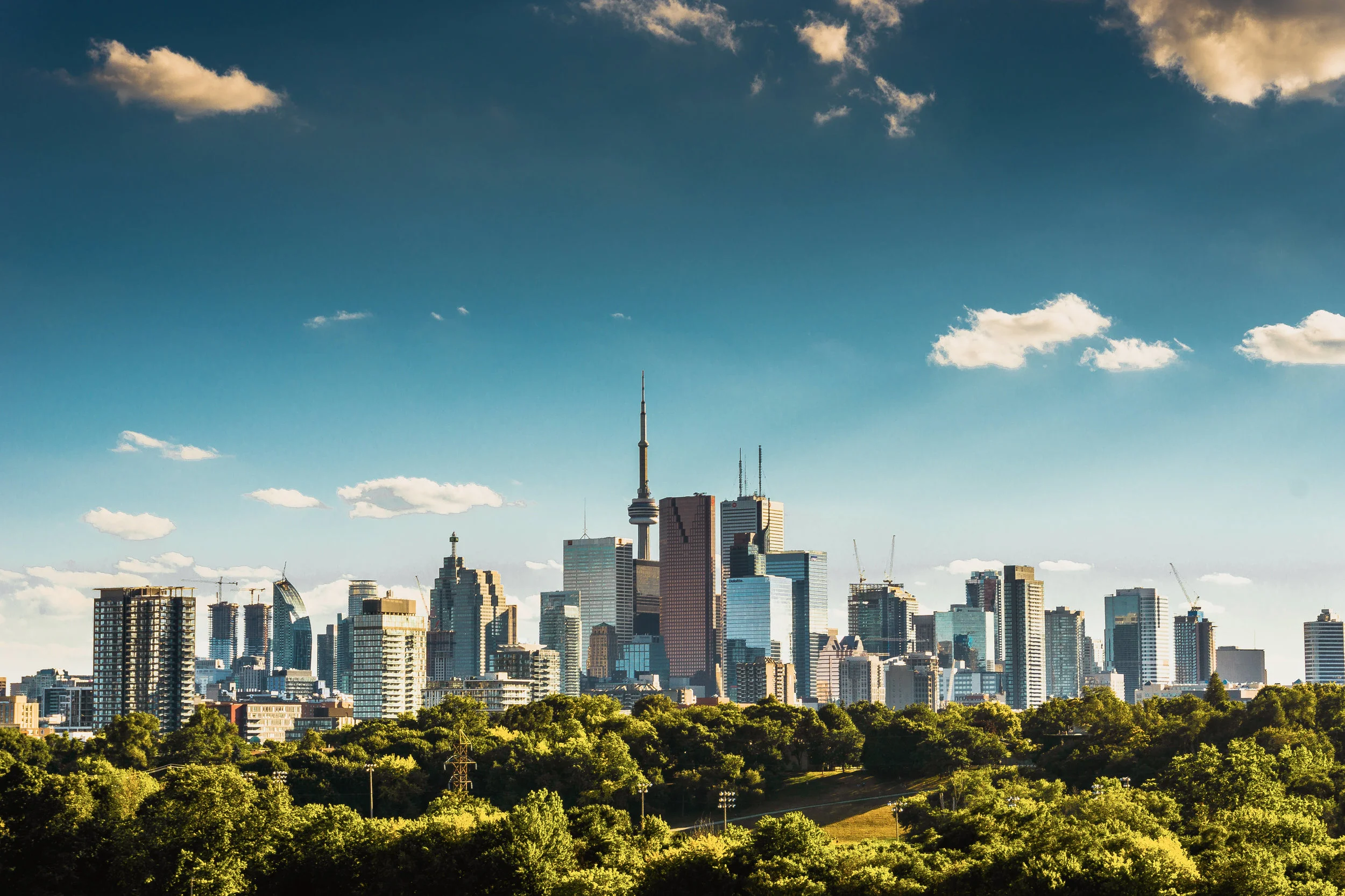 Amir-Golbazi-Photography-Toronto_1.jpg