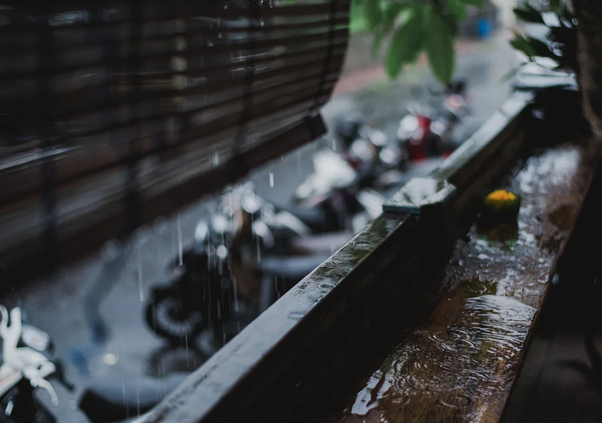 Ubud (3 of 3).jpg