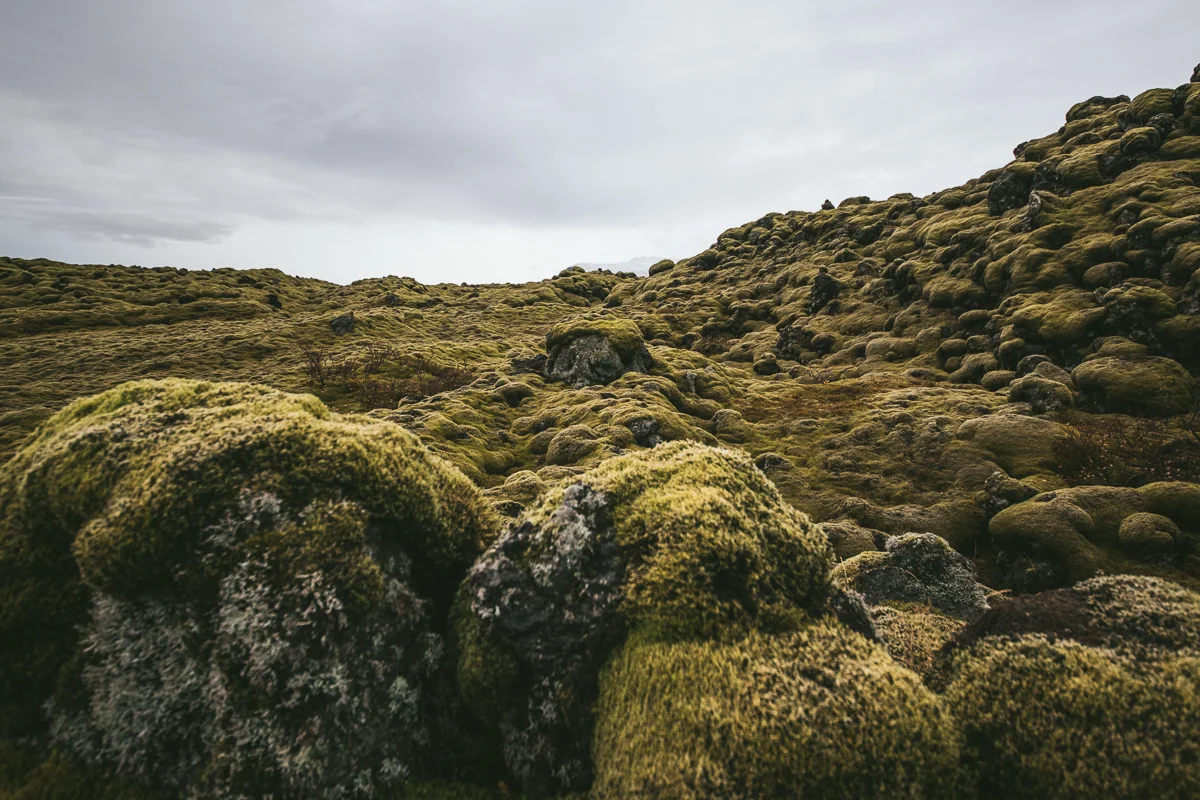 Iceland 4 stars (16 of 16).jpg